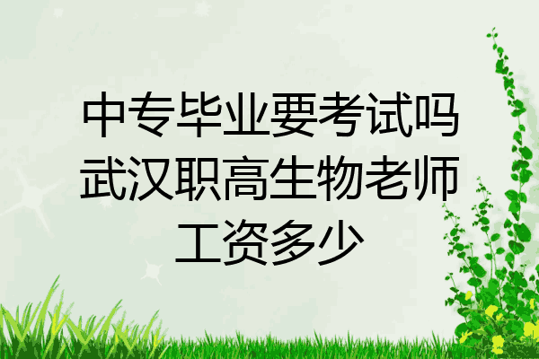中专毕业要考试吗武汉职高生物老师工资多少