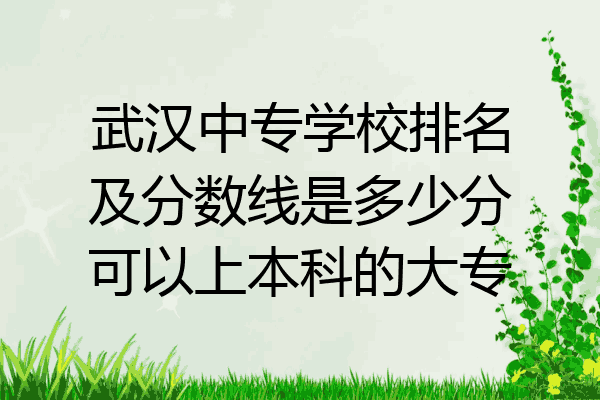 武汉中专学校排名及分数线是多少分可以上本科的大专