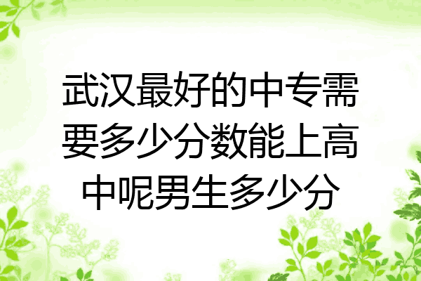 武汉最好的中专需要多少分数能上高中呢男生多少分
