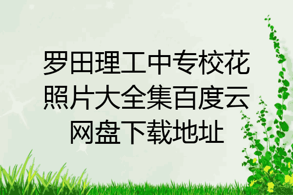 罗田理工中专校花照片大全集百度云网盘下载地址