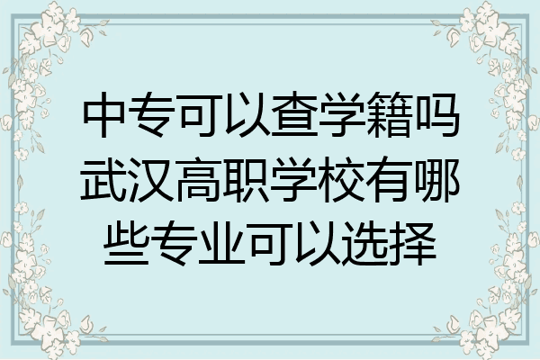 中专可以查学籍吗武汉高职学校有哪些专业可以选择