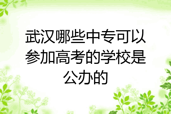武汉哪些中专可以参加高考的学校是公办的