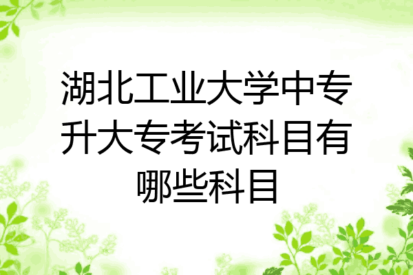 湖北工业大学中专升大专考试科目有哪些科目
