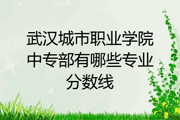 武汉城市职业学院中专部有哪些专业分数线