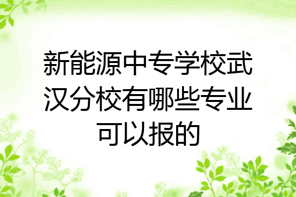 新能源中专学校武汉分校有哪些专业可以报的