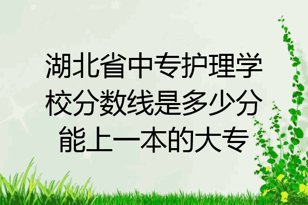 湖北省中专护理学校分数线是多少分能上一本的大专
