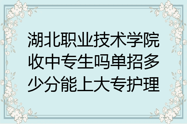 湖北职业技术学院收中专生吗单招多少分能上大专护理