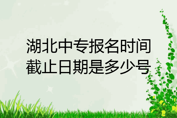 湖北中专报名时间截止日期是多少号