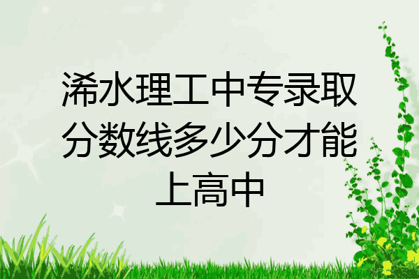 浠水理工中专录取分数线多少分才能上高中