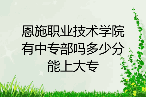 恩施职业技术学院有中专部吗多少分能上大专