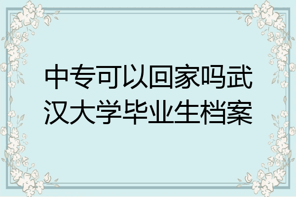 中专可以回家吗武汉大学毕业生档案