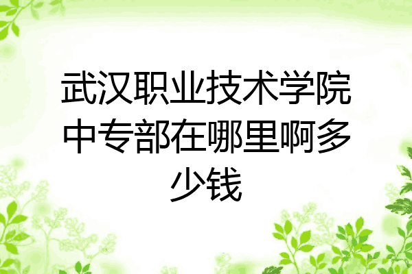 武汉职业技术学院中专部在哪里啊多少钱