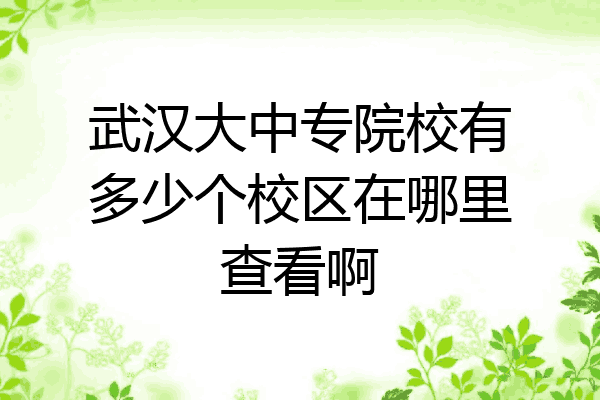 武汉大中专院校有多少个校区在哪里查看啊