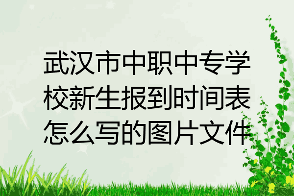 武汉市中职中专学校新生报到时间表怎么写的图片文件