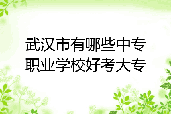 武汉市有哪些中专职业学校好考大专
