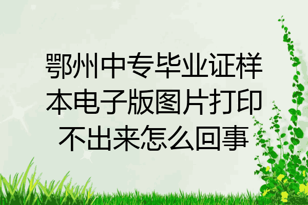 鄂州中专毕业证样本电子版图片打印不出来怎么回事