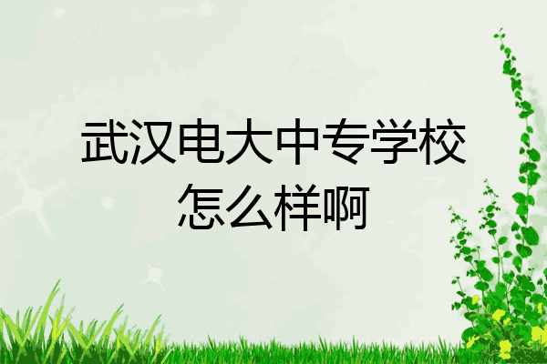 武汉电大中专学校怎么样啊