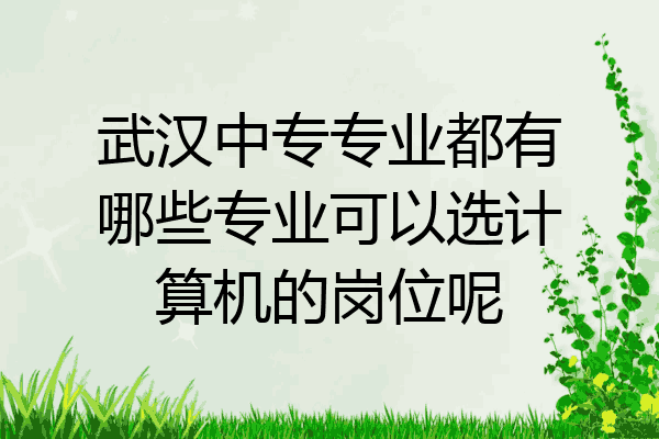 武汉中专专业都有哪些专业可以选计算机的岗位呢