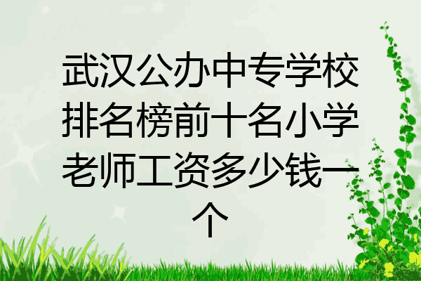 武汉公办中专学校排名榜前十名小学老师工资多少钱一个
