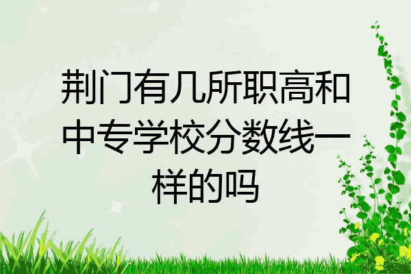 荆门有几所职高和中专学校分数线一样的吗