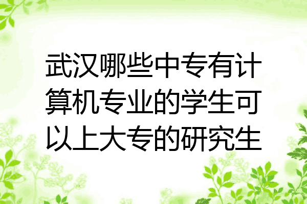 武汉哪些中专有计算机专业的学生可以上大专的研究生