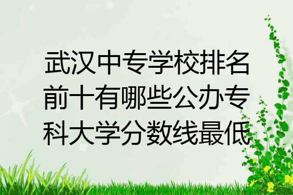 武汉中专学校排名前十有哪些公办专科大学分数线最低