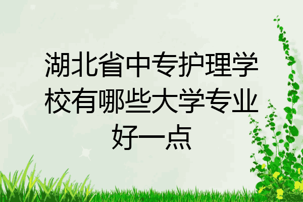 湖北省中专护理学校有哪些大学专业好一点