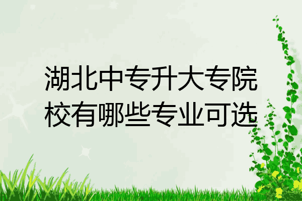 湖北中专升大专院校有哪些专业可选