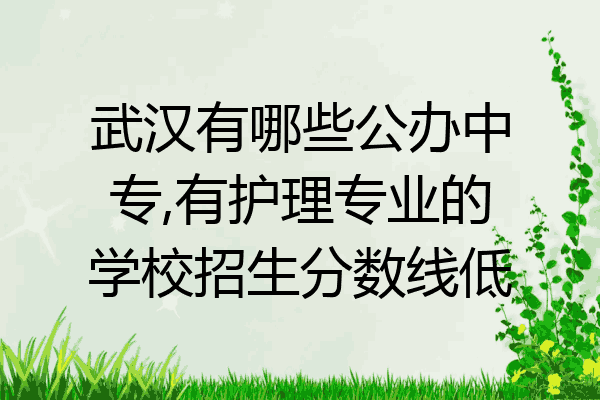 武汉有哪些公办中专,有护理专业的学校招生分数线低