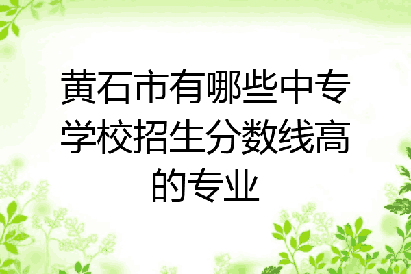黄石市有哪些中专学校招生分数线高的专业