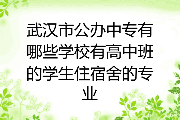 武汉市公办中专有哪些学校有高中班的学生住宿舍的专业