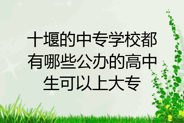 十堰的中专学校都有哪些公办的高中生可以上大专