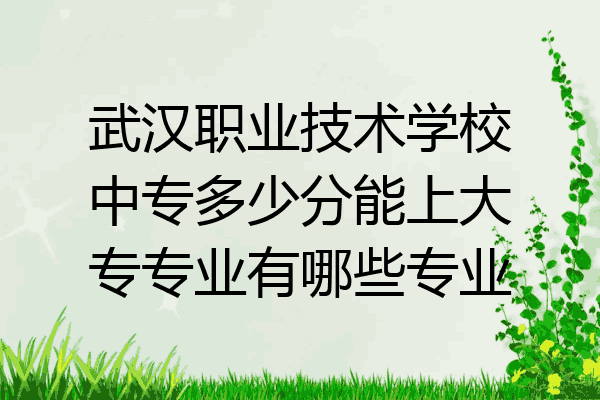 武汉职业技术学校中专多少分能上大专专业有哪些专业