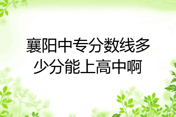 襄阳中专分数线多少分能上高中啊