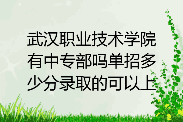 武汉职业技术学院有中专部吗单招多少分录取的可以上