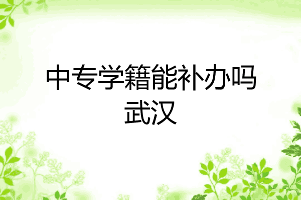 中专学籍能补办吗武汉