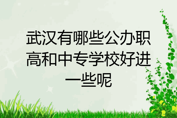 武汉有哪些公办职高和中专学校好进一些呢