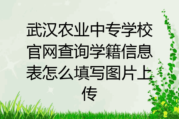 武汉农业中专学校官网查询学籍信息表怎么填写图片上传
