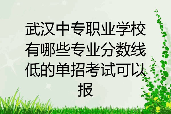 武汉中专职业学校有哪些专业分数线低的单招考试可以报