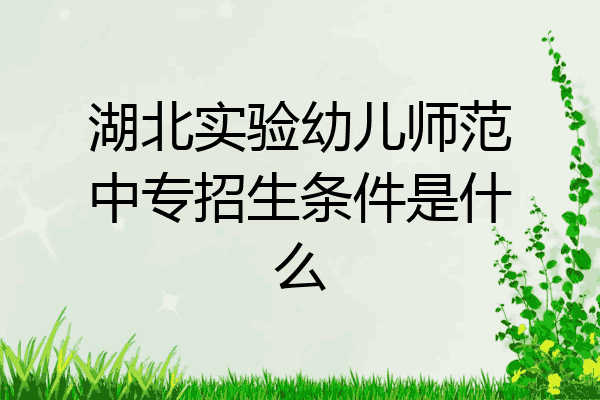湖北实验幼儿师范中专招生条件是什么