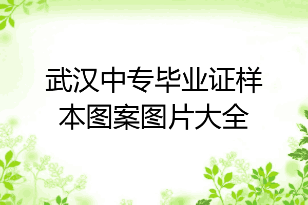 武汉中专毕业证样本图案图片大全