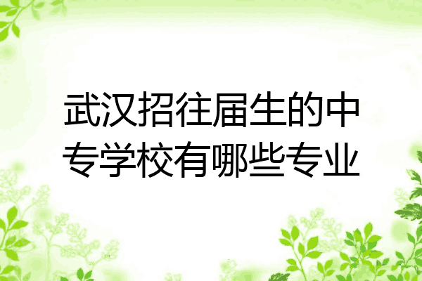 武汉招往届生的中专学校有哪些专业