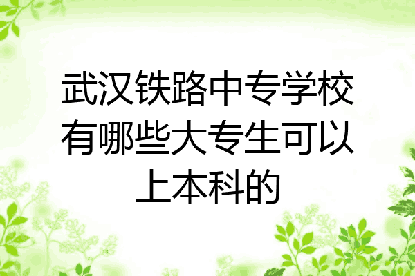 武汉铁路中专学校有哪些大专生可以上本科的