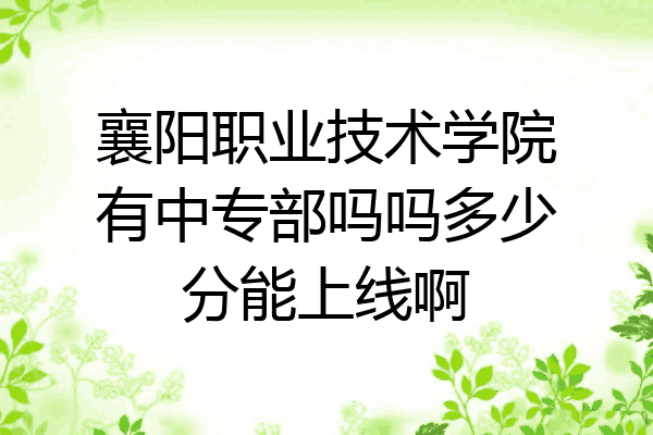 襄阳职业技术学院有中专部吗吗多少分能上线啊