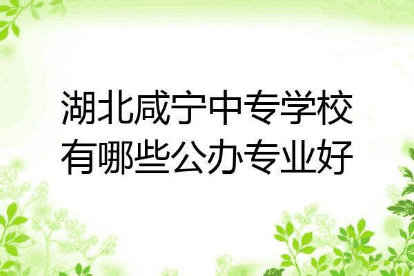 湖北咸宁中专学校有哪些公办专业好