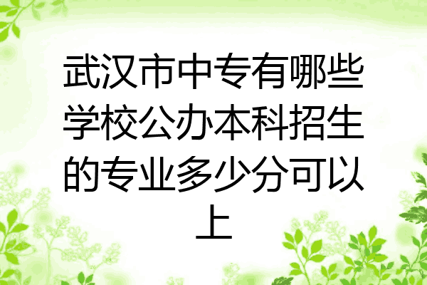 武汉市中专有哪些学校公办本科招生的专业多少分可以上
