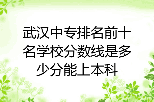 武汉中专排名前十名学校分数线是多少分能上本科