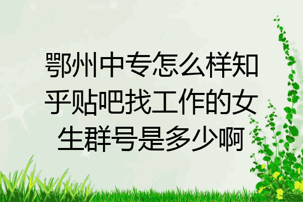 鄂州中专怎么样知乎贴吧找工作的女生群号是多少啊