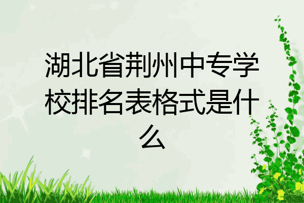 湖北省荆州中专学校排名表格式是什么