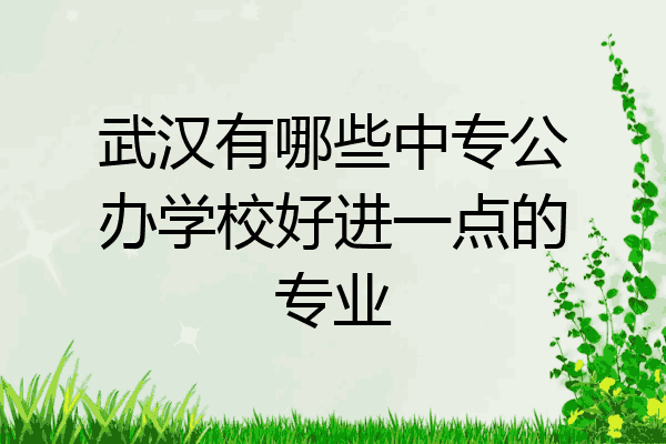 武汉有哪些中专公办学校好进一点的专业